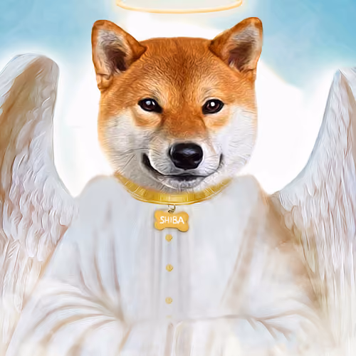 Renaissance Shibas