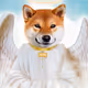 Renaissance Shibas