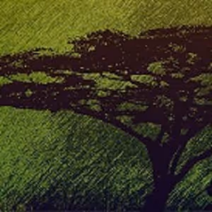 Colorfruit - old