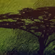 Colorfruit - old
