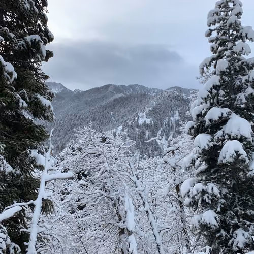 Mountain Hike