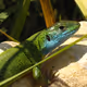Discover your natural world