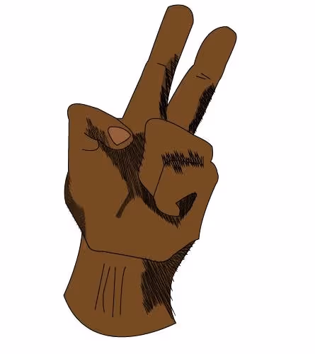 College Dropout Collection