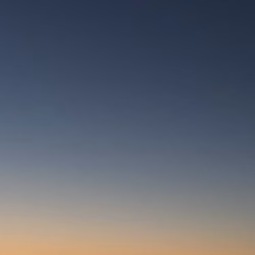 TheLastArt