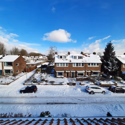 Snowy February