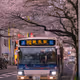 Japan city scenery