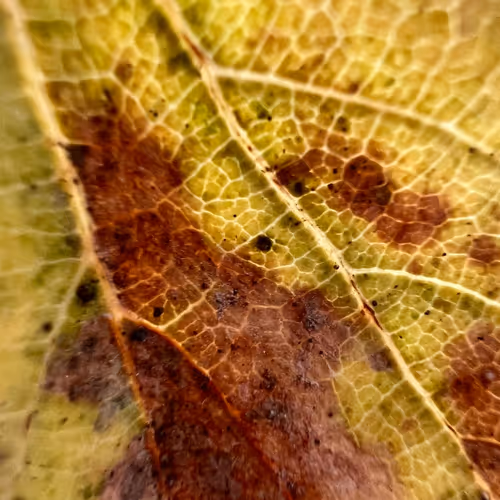 Nature Photogrphy By PakaBoy