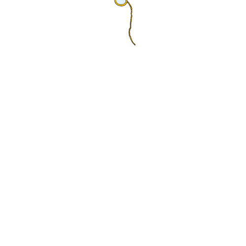 TheNifty