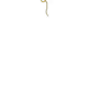 TheNifty