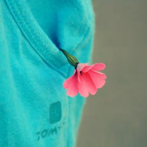 Simple Art photography by SMC