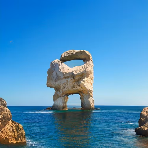 The "Sus" Collection