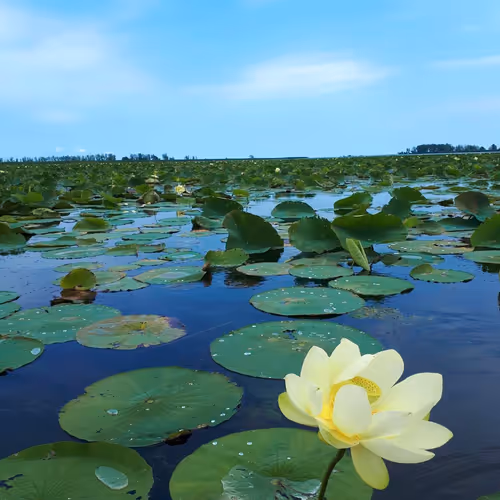 Secret places around the world