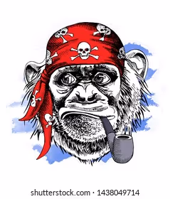 APE PIRATES