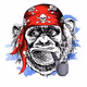 APE PIRATES