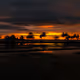 Sunset #193346235