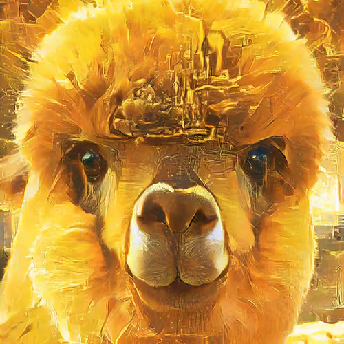 altered Alpacas