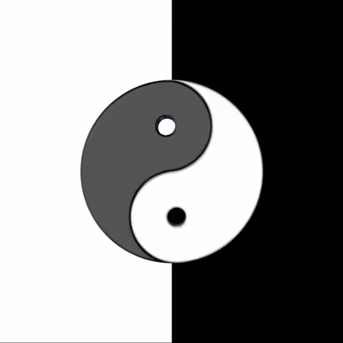 Yin vs Yang