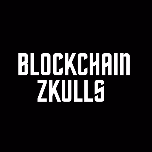 BLOCKCHAIN_ZKULLS