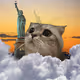 Spamerica