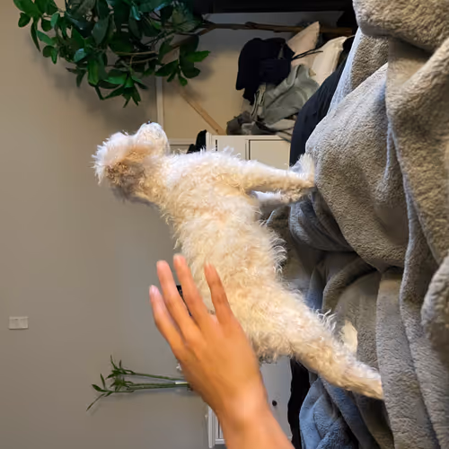 keiya<3