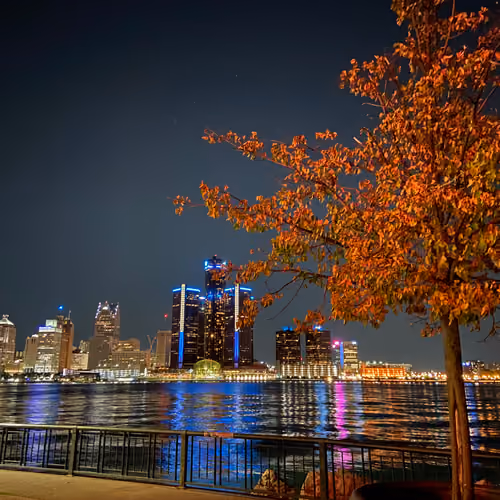 Detroit LOVE #202286671