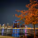 Detroit LOVE #202286671