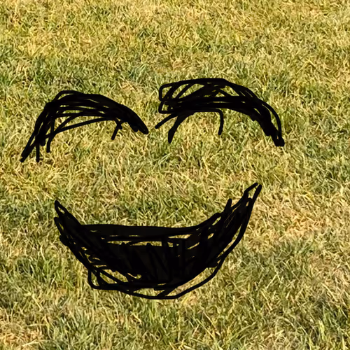 Dumb smile collection