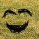 Dumb smile collection
