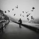 Oporto Untold Stories under the Fog - old
