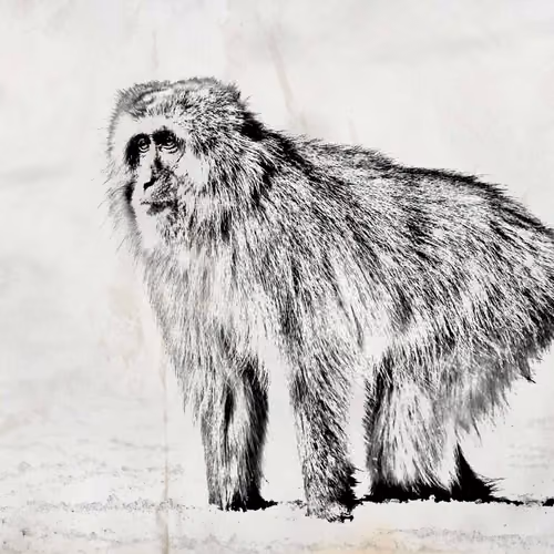 Sketches of Nature
