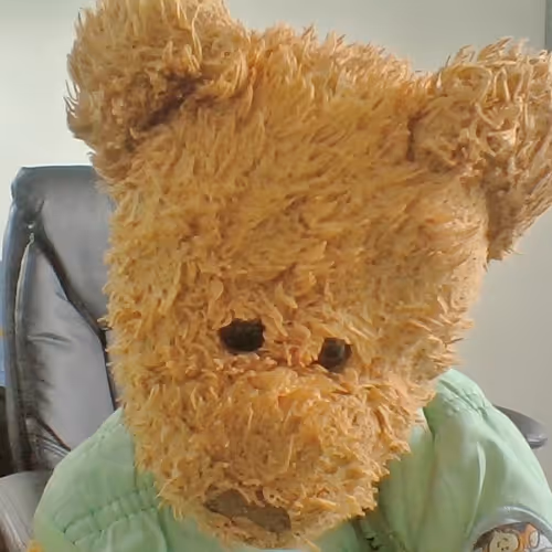 The BearBear Collection