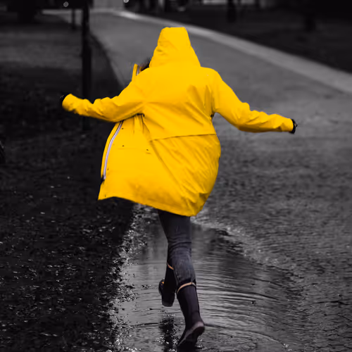 Yellow Raincoat _