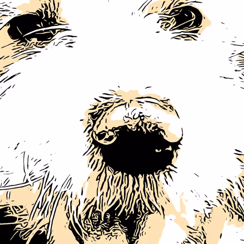 Untitled Collection #205052613