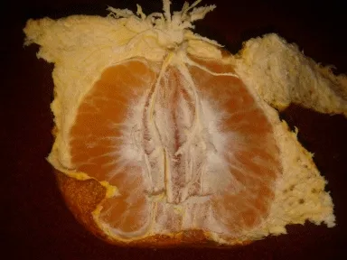 everything [randomly] around the house