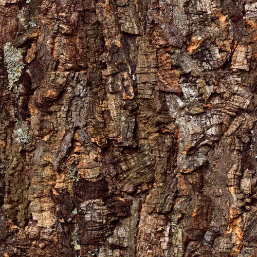 Images of Wood - old