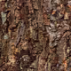 Images of Wood - old