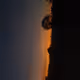 Cold dawn