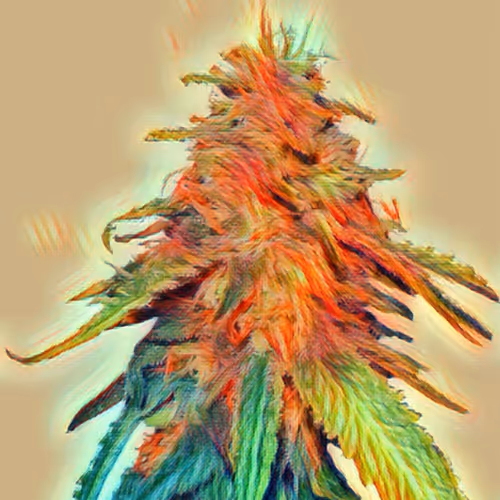 chroniclove#1