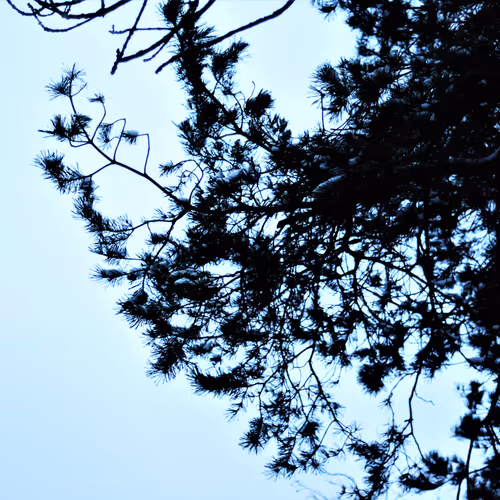 HiddenPlace