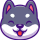 KLEEKAI Collection