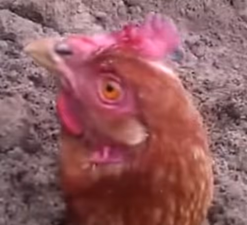 Is it a good idea? - old