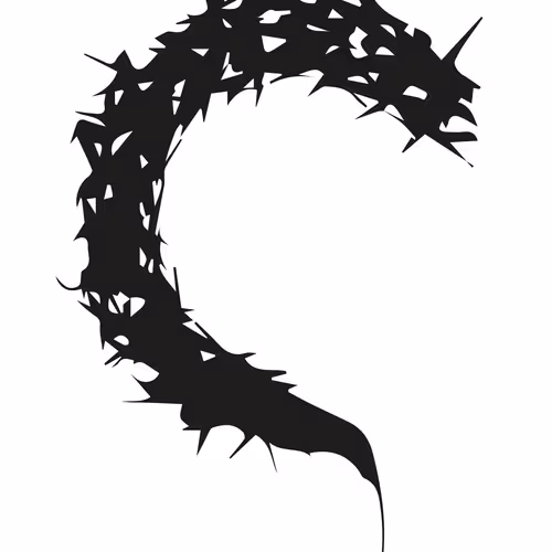 Untitled Collection #240019998