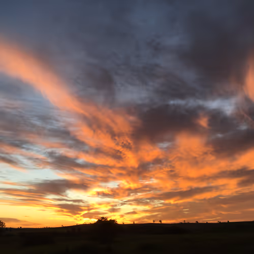 Mickbambil Sunset Collection - old