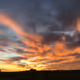 Mickbambil Sunset Collection - old