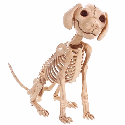 super Animal Skeleton