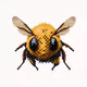 Pixeled insects
