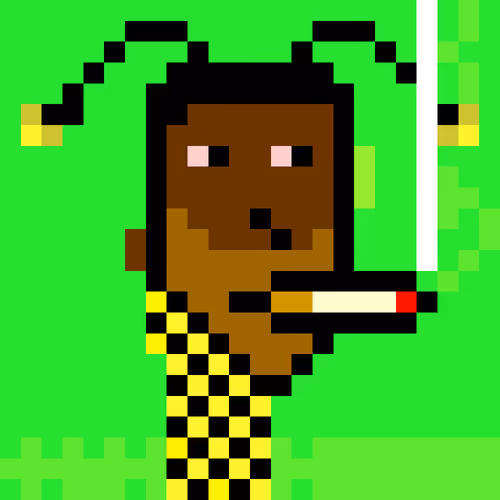 Untitled Collection #248007308