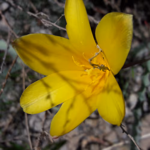 Untitled Collection #248182493