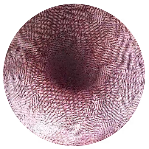 Medical videos