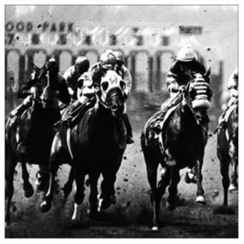 Horse DeRacing Club Collectibles